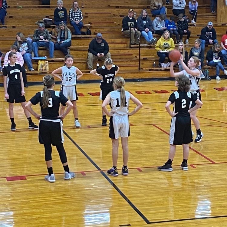 Live Feed Smithton RVI School District